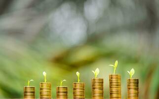 Business Finance and Money concept,Save money for prepare in the future.tree growing on coin of stacking gold coins with green bokeh background photo