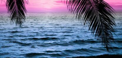 palmera en la playa del mar durante la puesta de sol de una hermosa playa tropical en el fondo del cielo foto