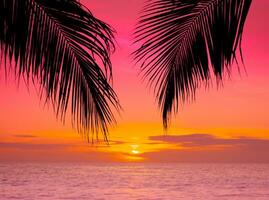 silueta de palmera en la playa durante la puesta de sol de una hermosa playa tropical sobre fondo de cielo rosa foto