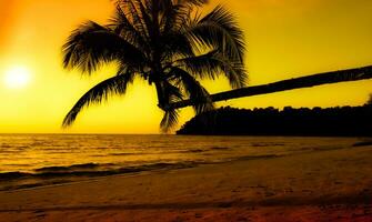 palmera en la playa durante la puesta de sol de una hermosa playa tropical foto