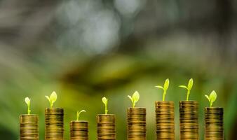 Business Finance and Money concept,Save money for prepare in the future.tree growing on coin of stacking gold coins with green bokeh background photo