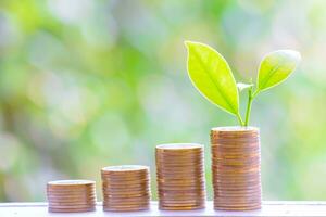 Business Finance and Money concept, Money coin stack growing graph with green tree bokeh background,investment concept photo