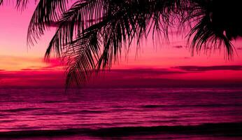 Silhouette of palm tree on the beach during sunset of beautiful a tropical beach on pink sky background photo