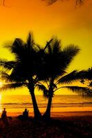 Silhouette of palm tree on the beach during sunset of beautiful a tropical beach on orange sky background photo