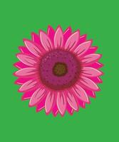 Hand drawn pink flower on green background cute flower vector