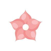 vector cherry blossom or sakura in cartoon style isolated