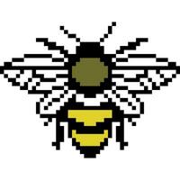 Bee cartoon icon in pixel style vector