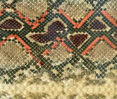 Snake skin leather textured reptile print. Pyton animal leather background. photo