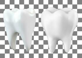 dientes 3d vector ilustración realista limpiar y diente conjunto en antecedentes