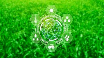 Infographics smart farming and precision agriculture with visual icon, Innovation technology for smart farm system, Agriculture management, smart technology concept modern technology. photo