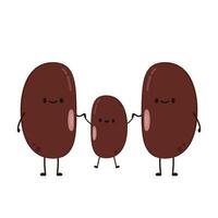 Kidney bean character. Kidney bean on white background. vector