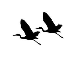 Pair of The Black Heron Bird, Egretta Ardesiaca, also known as the Black Egret Silhouette for Art Illustration, Logo, Pictogram, Website, or Graphic Design Element. Vector Illustration