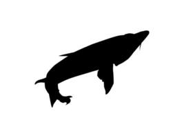 Beluga Sturgeon or Huso Fish Silhouette, Fish Which Produce Premium and Expensive Caviar, For Logo Type, Art Illustration, Pictogram, Apps, Website or Graphic Design Element. Vector Illustration