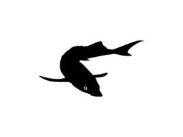 Beluga Sturgeon or Huso Fish Silhouette, Fish Which Produce Premium and Expensive Caviar, For Logo Type, Art Illustration, Pictogram, Apps, Website or Graphic Design Element. Vector Illustration