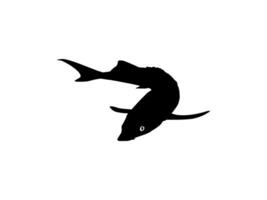 Beluga Sturgeon or Huso Fish Silhouette, Fish Which Produce Premium and Expensive Caviar, For Logo Type, Art Illustration, Pictogram, Apps, Website or Graphic Design Element. Vector Illustration