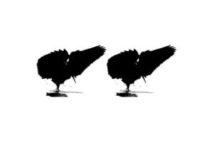 Pair of The Black Heron Bird, Egretta Ardesiaca, also known as the Black Egret Silhouette for Art Illustration, Logo, Pictogram, Website, or Graphic Design Element. Vector Illustration