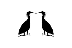 Pair of The Black Heron Bird, Egretta Ardesiaca, also known as the Black Egret Silhouette for Art Illustration, Logo, Pictogram, Website, or Graphic Design Element. Vector Illustration