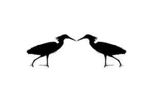 Pair of The Black Heron Bird, Egretta Ardesiaca, also known as the Black Egret Silhouette for Art Illustration, Logo, Pictogram, Website, or Graphic Design Element. Vector Illustration