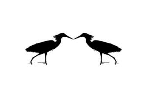 Pair of The Black Heron Bird, Egretta Ardesiaca, also known as the Black Egret Silhouette for Art Illustration, Logo, Pictogram, Website, or Graphic Design Element. Vector Illustration