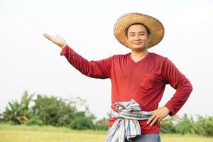 Handsome Asian man farmer is at paddy field, wears hat, red shirt, put hand on waist, shows hand to present. Smile. Look at camera. Concept, agriculture occupation. photo