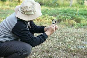 ecologista hombre es explorador minúsculo plantas por utilizando aumentador vaso. concepto examinar, explorar, investigación naturaleza o biológico organismos estudiar acerca de ambiente y plantas. foto