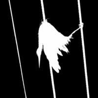 Dead Bird on the Electrical Wire Silhouette Illustration Based on My Photography. Vector Illustration