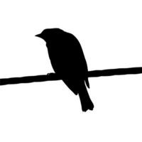 silueta de el pájaro encaramado en el eléctrico cable base en mi fotografía. vector ilustración