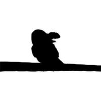 Silhouette of the Bird Perched on the Electrical Wire Base on my Photography. Vector Illustration