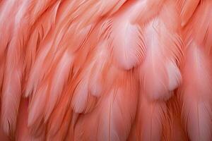 AI generated Flamingo Feather background. AI Generated photo