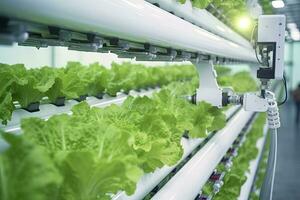 AI generated Automatic Agricultural Technology With Close-up View Of Robotic Arm Harvesting Lettuce In Vertical Hydroponic Plant. AI Generated photo