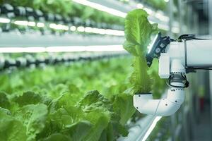 AI generated Automatic Agricultural Technology With Close-up View Of Robotic Arm Harvesting Lettuce In Vertical Hydroponic Plant. AI Generated photo