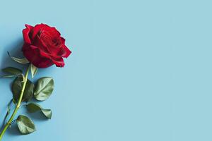 AI generated Red rose flower on blue background. Romantic Valentine's holiday concept. AI Generated photo