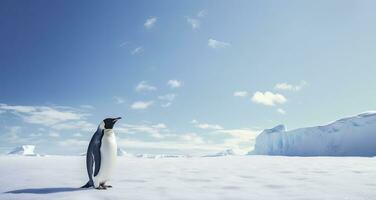 AI generated Penguin standing in Antarctica looking into the blue sky. AI Generated photo