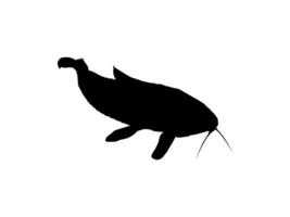 Silhouette of the The Kwi Kwi or Hoplosternum littorale is a species of Armoured Catfish from the Callichthyidae family. Vector Illustration