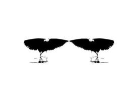 Pair of The Black Heron Bird, Egretta Ardesiaca, also known as the Black Egret Silhouette for Art Illustration, Logo, Pictogram, Website, or Graphic Design Element. Vector Illustration
