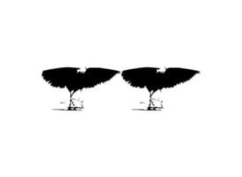 Pair of The Black Heron Bird, Egretta Ardesiaca, also known as the Black Egret Silhouette for Art Illustration, Logo, Pictogram, Website, or Graphic Design Element. Vector Illustration