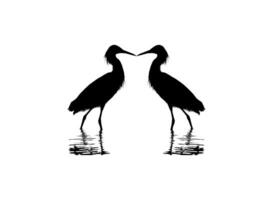 Pair of The Black Heron Bird, Egretta Ardesiaca, also known as the Black Egret Silhouette for Art Illustration, Logo, Pictogram, Website, or Graphic Design Element. Vector Illustration