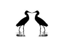 Pair of The Black Heron Bird, Egretta Ardesiaca, also known as the Black Egret Silhouette for Art Illustration, Logo, Pictogram, Website, or Graphic Design Element. Vector Illustration