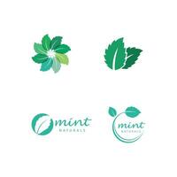 Mint leaves flat vector color icon template illustration design