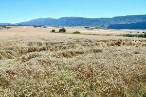 Scenic rural view photo