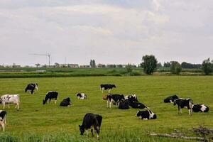 escénico rural ver foto