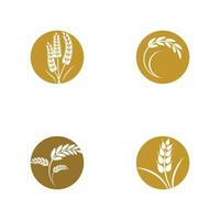 Agriculture wheat logo vector template symbol design