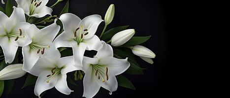 AI generated White lily flowers on black background. AI Generated photo