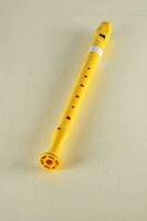 a yellow plastic recorder photo