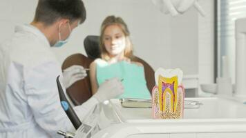 Dentist examining teeth of a little girl healthy tooth model on the foreground video