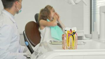 Unhealthy tooth model on the foreground dentist working with child video