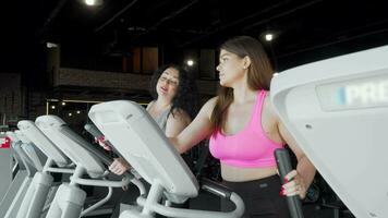 deux plus Taille femmes parlant tandis que travail en dehors à le Gym sur elliptique entraîneur video