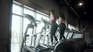 Rear view full length shot of two plus size women exercising on elliptical trainer video