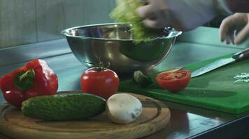 recortado Disparo de un cocinero preparando ensalada a el cocina video