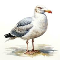 AI generated Watercolor seagull isolated on white background. AI Generated photo